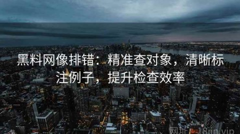 黑料网像排错：精准查对象，清晰标注例子，提升检查效率