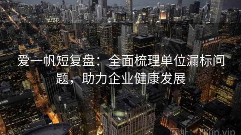 爱一帆短复盘：全面梳理单位漏标问题，助力企业健康发展