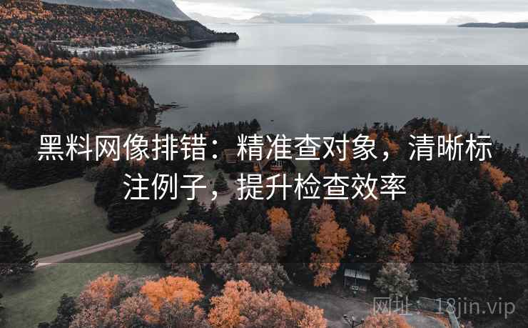黑料网像排错：精准查对象，清晰标注例子，提升检查效率