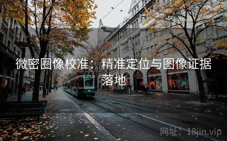 微密圈像校准:精准定位与图像证据落地 微密圈像校准:精准定位与图像证据落地