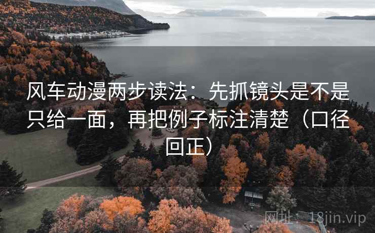 风车动漫两步读法：先抓镜头是不是只给一面，再把例子标注清楚（口径回正）