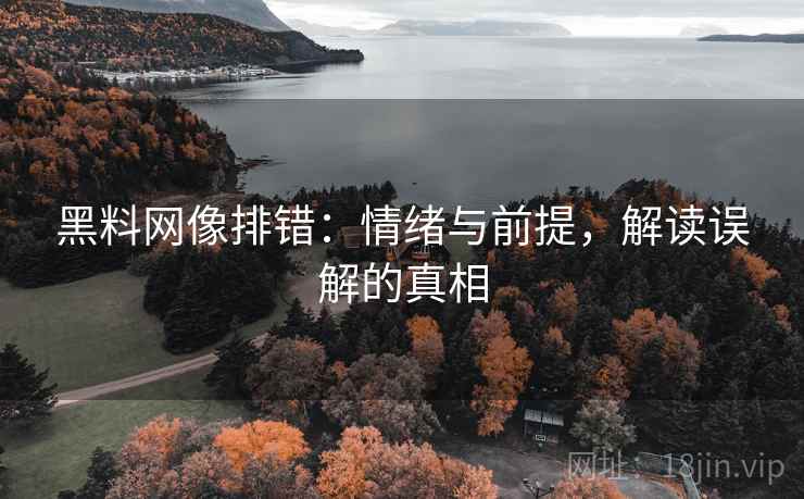 黑料网像排错：情绪与前提，解读误解的真相